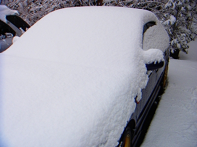 f0182173_10141145.jpg