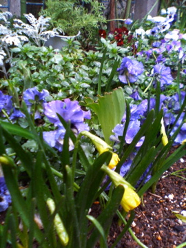 f0054677_8263155.jpg