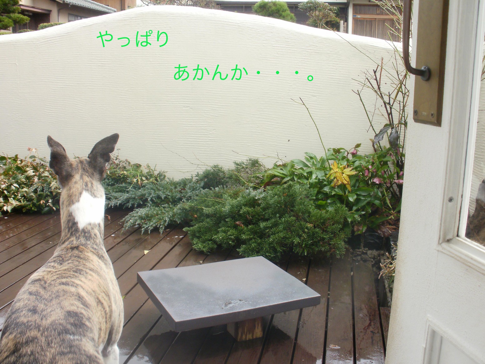 f0177788_1592191.jpg