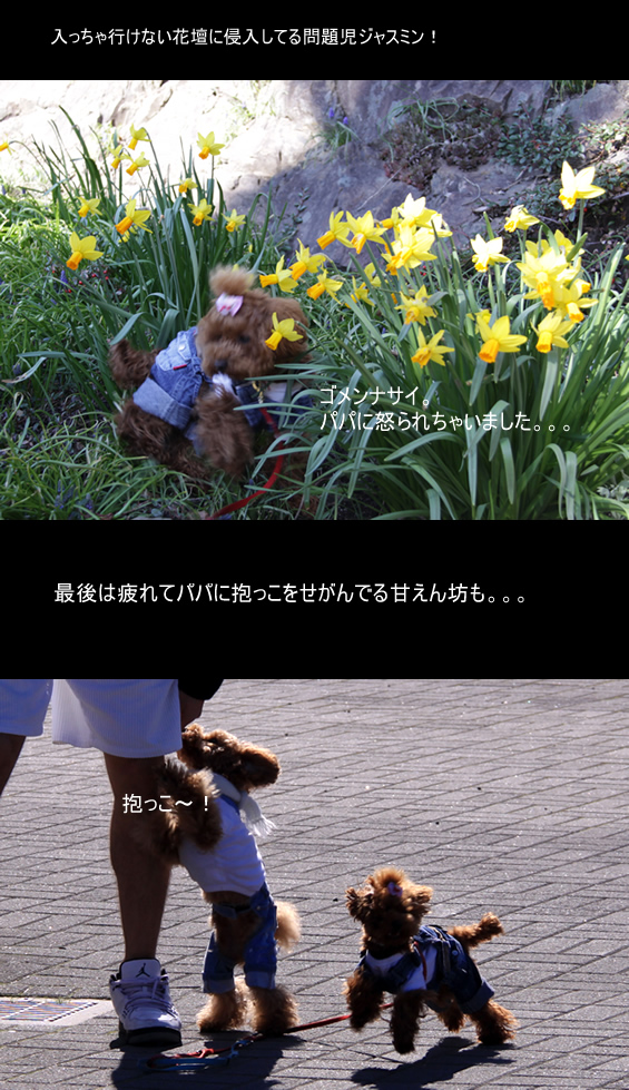 c0164491_1473960.jpg