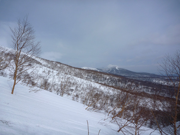a0043193_18592838.jpg