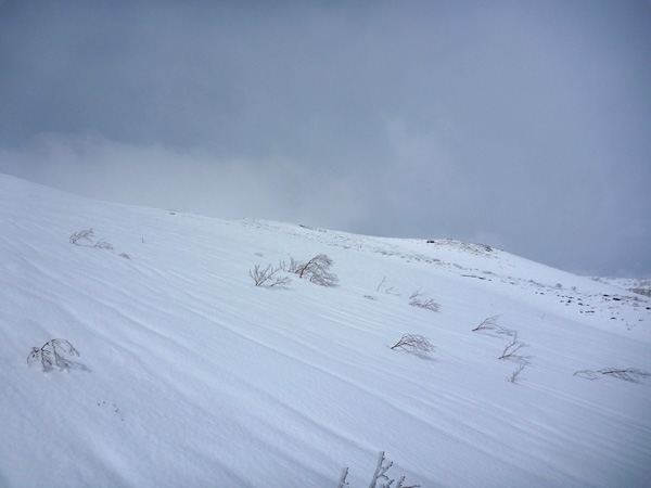 a0043193_190091.jpg
