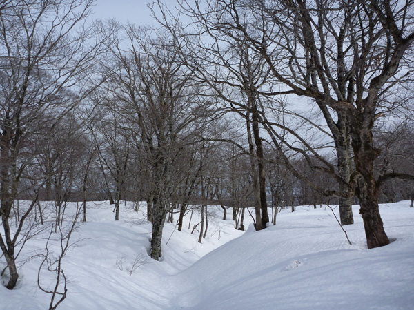 a0043193_1902141.jpg