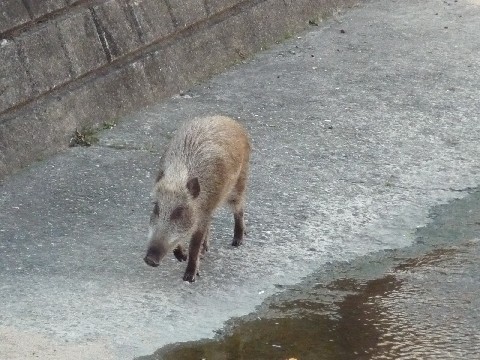 c0108693_2154715.jpg