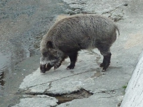 c0108693_216711.jpg