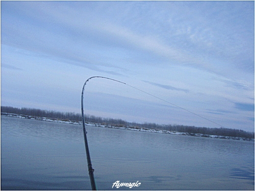 e0035597_2031741.jpg