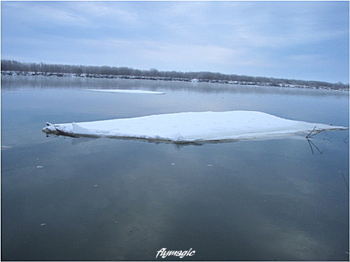 e0035597_204349.jpg