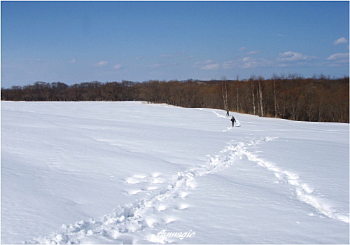e0035597_2044275.jpg