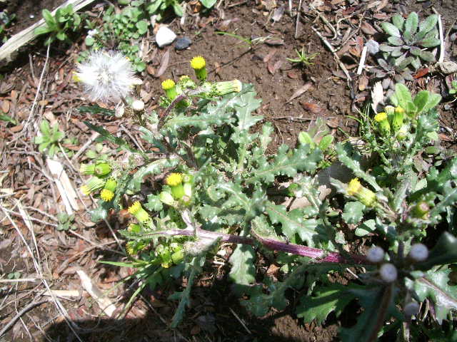 e0025300_18104130.jpg