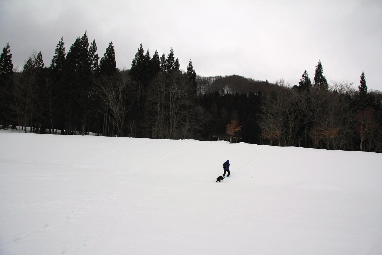 f0034602_2053654.jpg