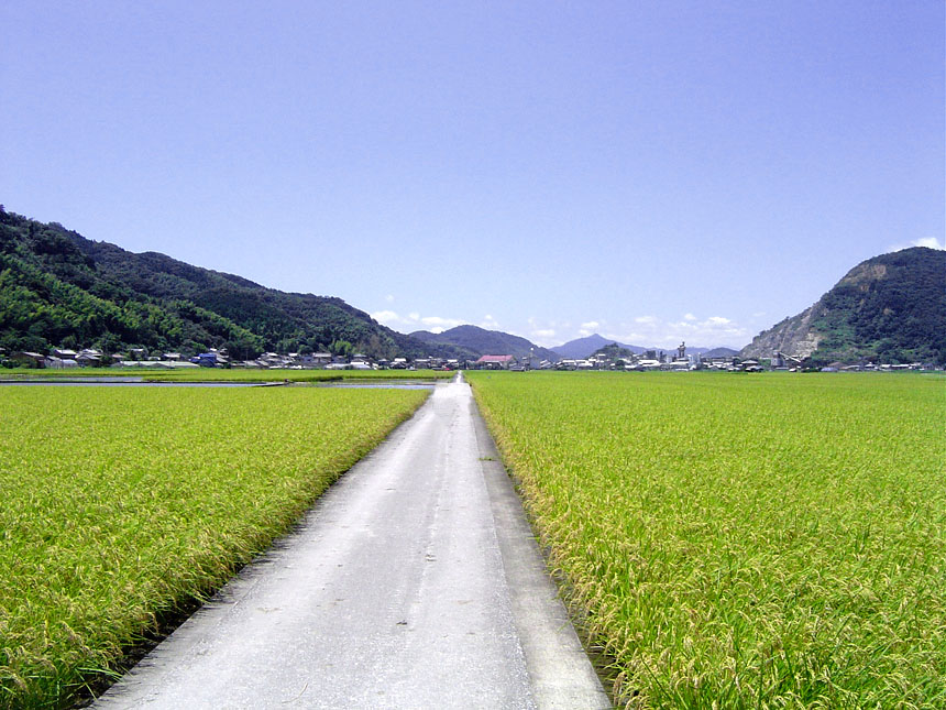 b0189107_20565391.jpg