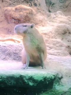 d0021810_22404517.jpg