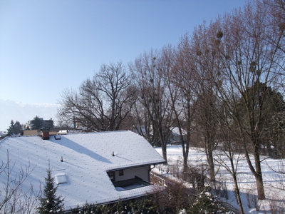 c0167813_1831187.jpg