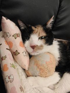 c0201113_20234256.jpg