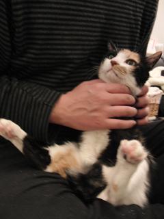c0201113_2045680.jpg