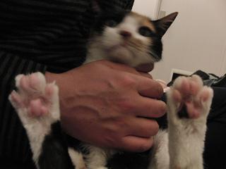 c0201113_20483114.jpg