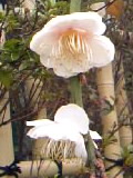 d0024220_12142150.jpg