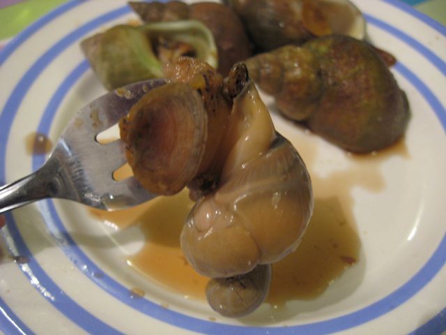 c0188527_2475951.jpg