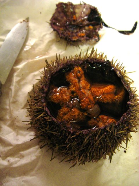 c0188527_2514548.jpg
