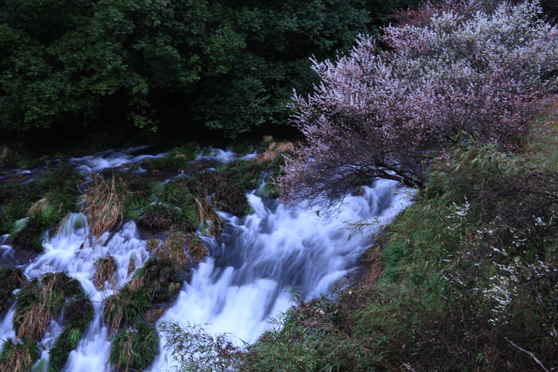 e0025930_23313093.jpg
