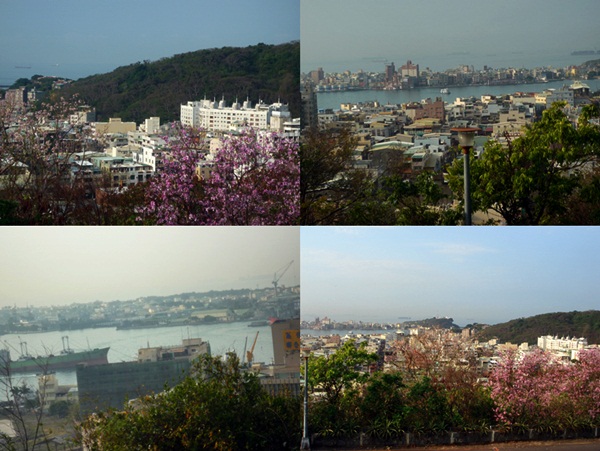 d0037233_116622.jpg