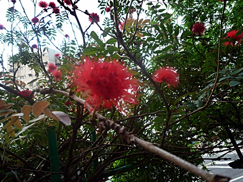 d0037233_14165980.jpg