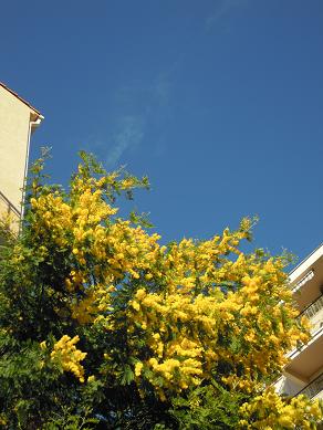 f0194446_15471271.jpg