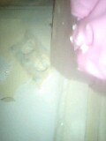 d0007957_22372871.jpg