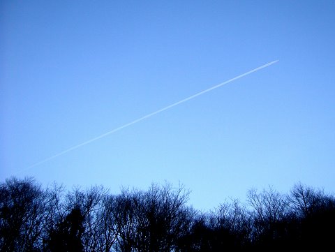b0130166_215927.jpg