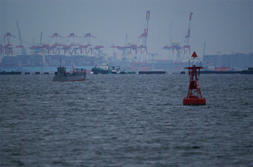 c0122266_4373486.jpg