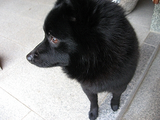 e0002466_19301586.jpg