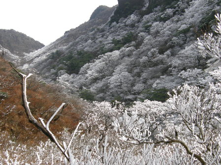 c0042869_19302614.jpg