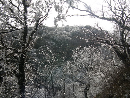 c0042869_193225100.jpg