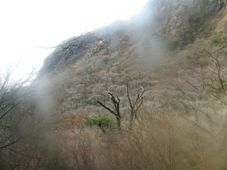c0042869_19364414.jpg
