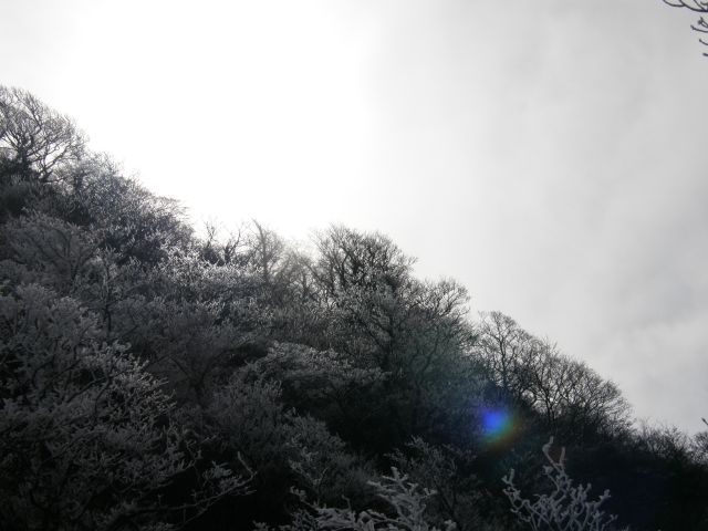 c0042869_1943567.jpg