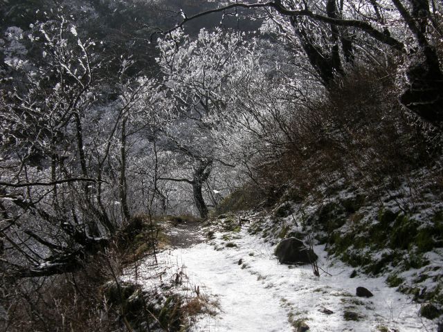 c0042869_19491434.jpg