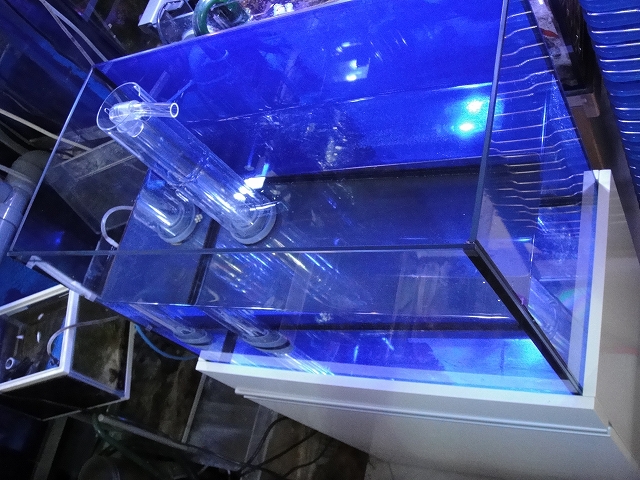 c0225669_113241.jpg