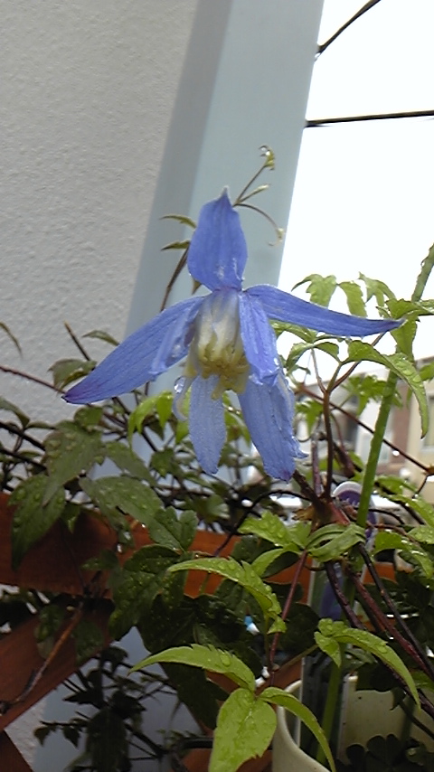 c0202870_950924.jpg