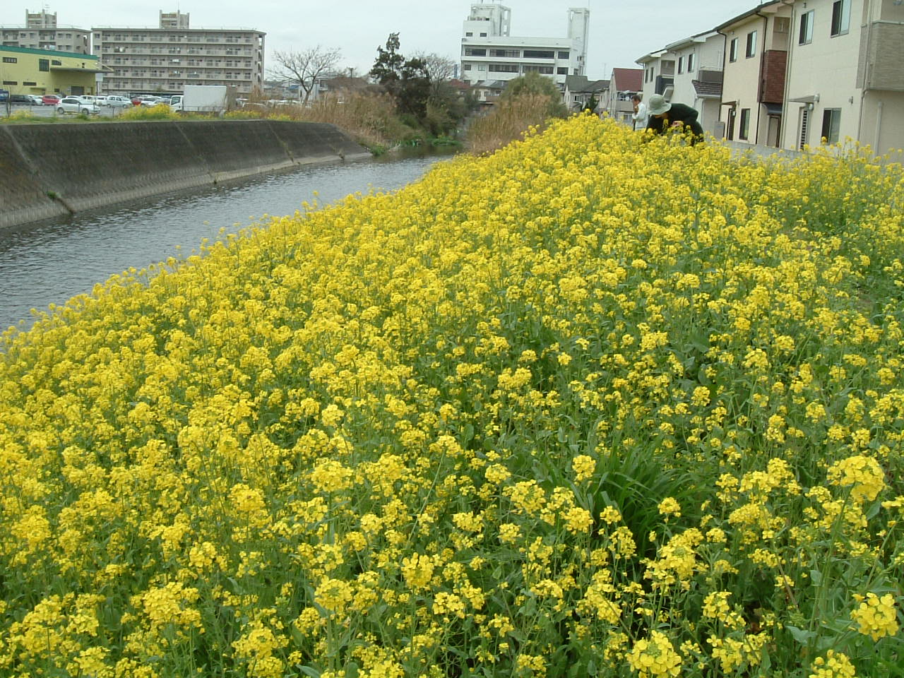 a0135577_13463375.jpg