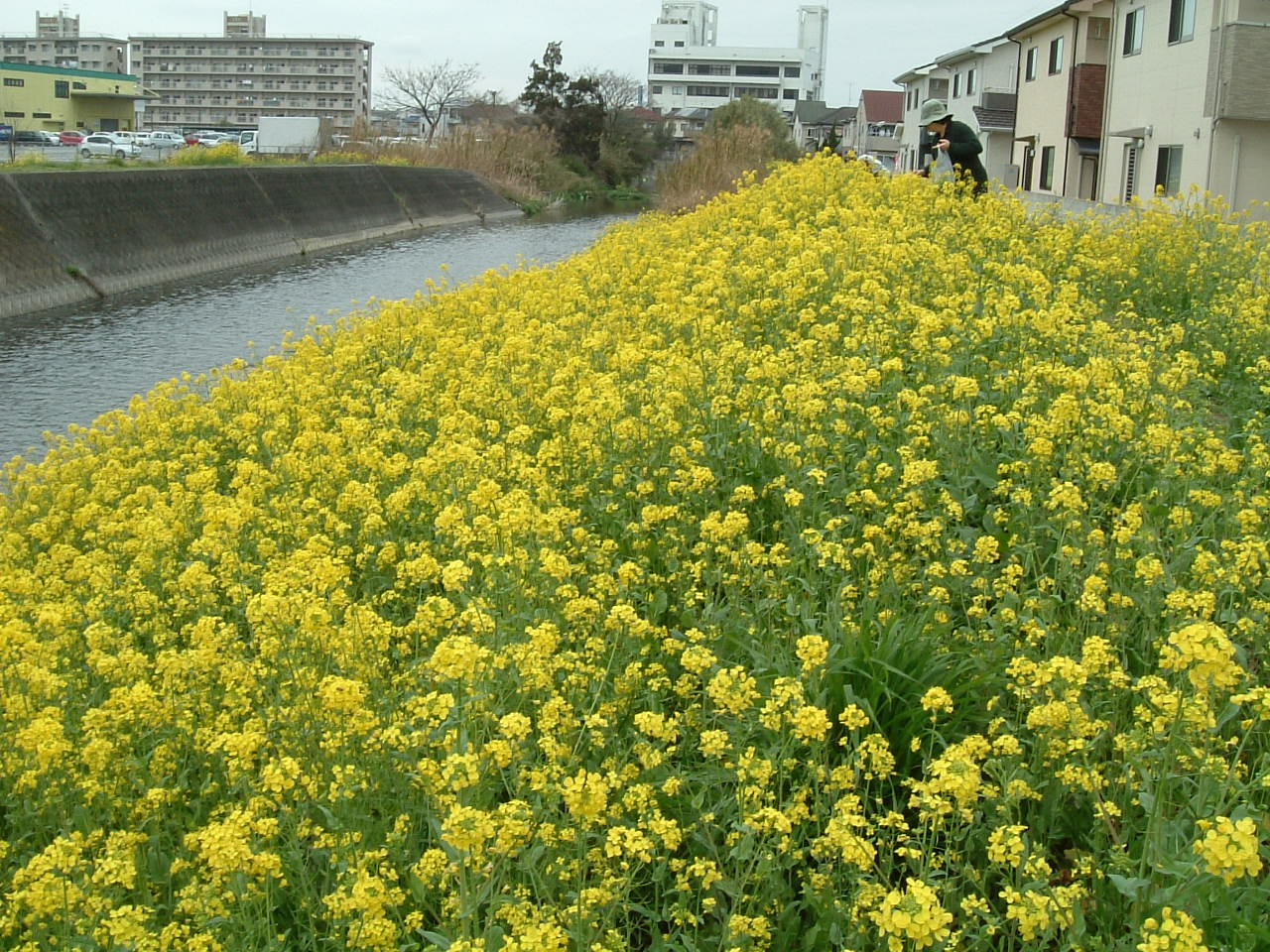 a0135577_14204636.jpg