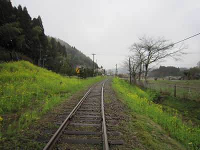 c0218879_2346945.jpg