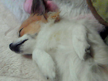 c0066080_2565827.jpg