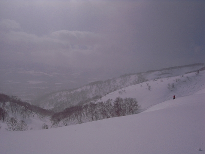 c0207986_1249240.jpg