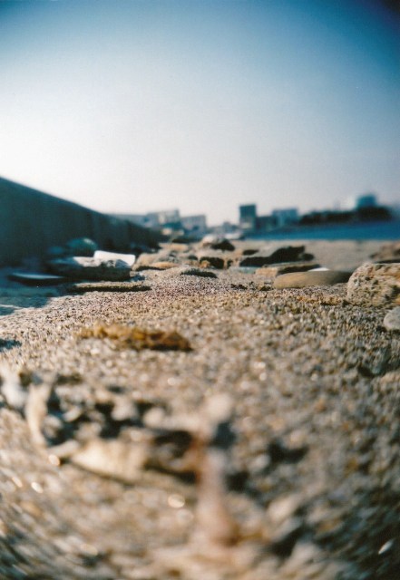 c0190594_1343686.jpg