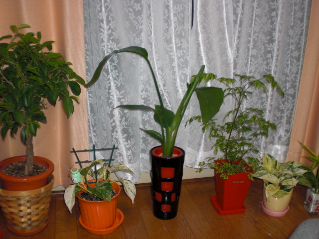 f0204295_16221693.jpg