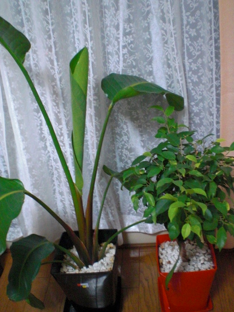 f0204295_16251319.jpg