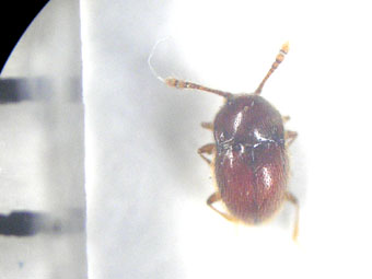 e0083097_22391492.jpg