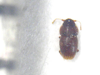 e0083097_225014100.jpg