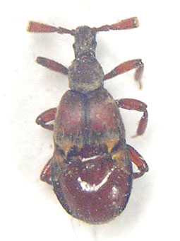 e0083097_23151590.jpg