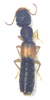 e0083097_236345.jpg